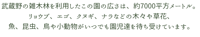 武蔵野の雑木林を利用したこの園の広さは、約7000平方メートル。 リョウブ、エゴ、クヌギ、ナラなどの木々や草花、魚、昆虫、鳥や小動物がいつでも園児達を待ち受けています。