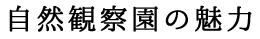 自然観察園の魅力